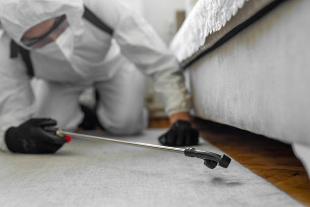 Professional Termite Control technician working in Harrisburg, NC