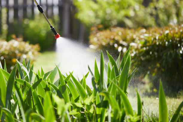 24/7 Emergency Termite Control experts in Harrisburg, NC