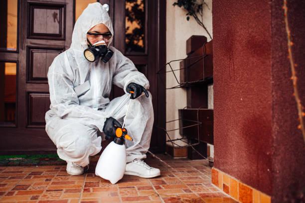 Reliable Termite Control contractor in Harrisburg, NC by Nex Pest Control